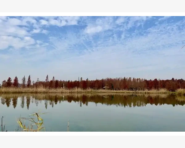 B2B询价模板这样写客户回复率翻倍_本土化运营成为核心竞争壁垒