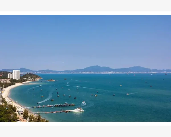电子商务B2B实验操作原理与核心机制_文献综述要梳理清楚理论框架