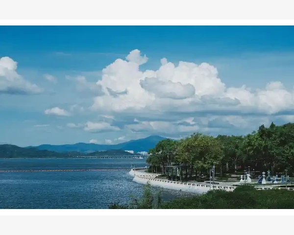 八爪鱼B2B数据采集实战应用_八爪鱼B2B数据采集实战应用