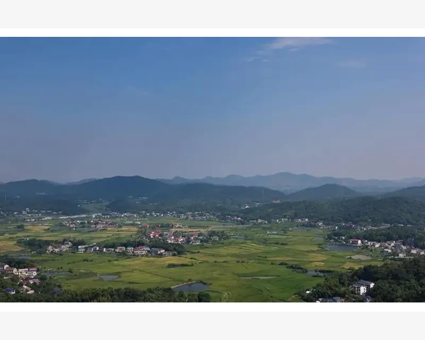 MT4电脑版字体大小调整三步搞定阅读更轻松_强制中断后MT4能否自动接上进度