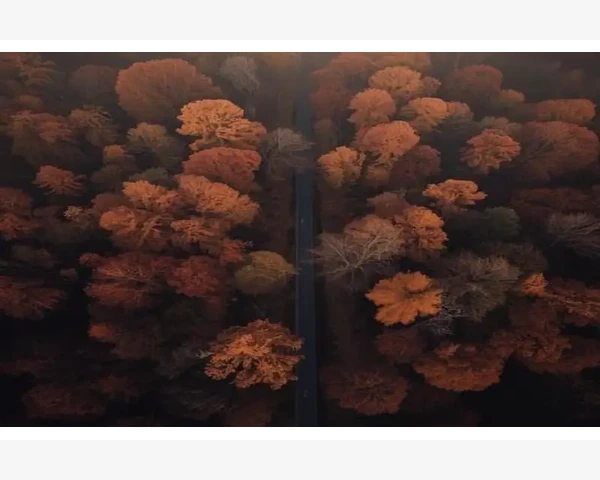 针织肌理感面料商如何敲开高端时装设计企业大门_针织肌理感面料商如何敲开高端时装设计企业大门