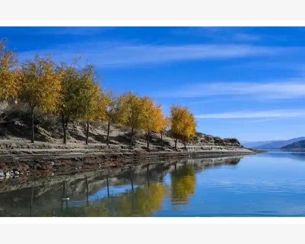 五大B2B平台挑选与实战运用技巧_五大B2B平台挑选与实战运用技巧