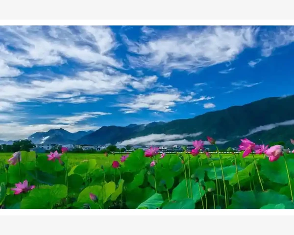 五金B2B网站选对平台生意不难_案例二:SaaS公司用客户故事实现病毒式传播