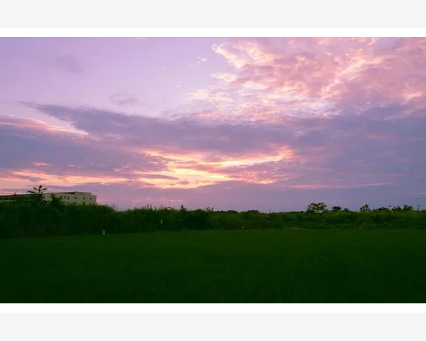 B2B与B2C模式选择企业如何做出明智决策_用户培训与日常运营决定系统生死